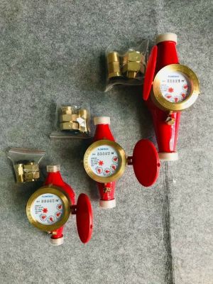 Đồng hồ nước nóng Flowtech nối ren